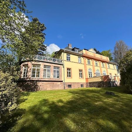 Panorama Penthouse In Wunderschoener Villa 卡塞尔 外观 照片